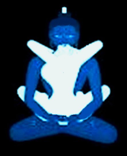 Bhadra Bhadri Yoga ... Bhadri Bhadra Yoga