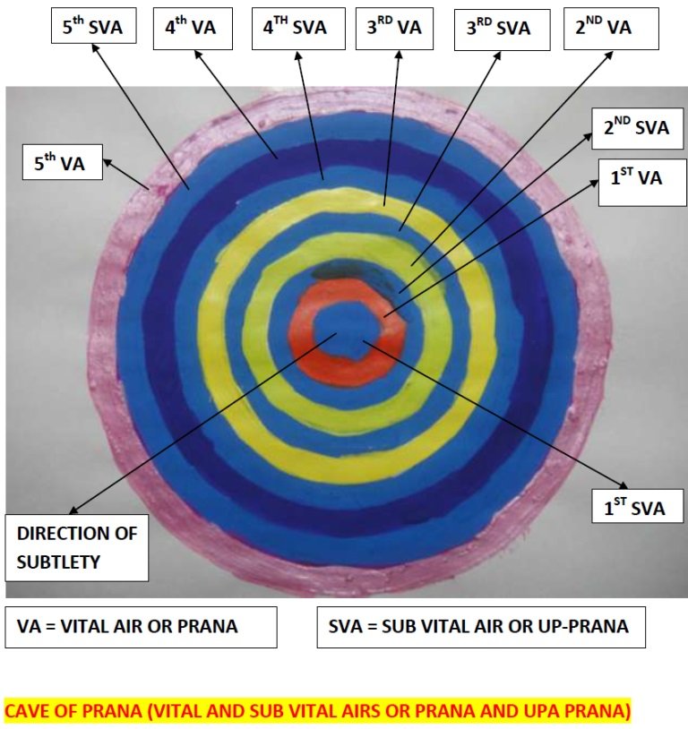 Study of cave of Prana with hierarchy of Samana Prana and Krukul Upa Prana with respect to other prana