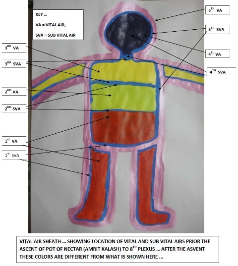 Pranamaye Kosha ... Vital air sheath